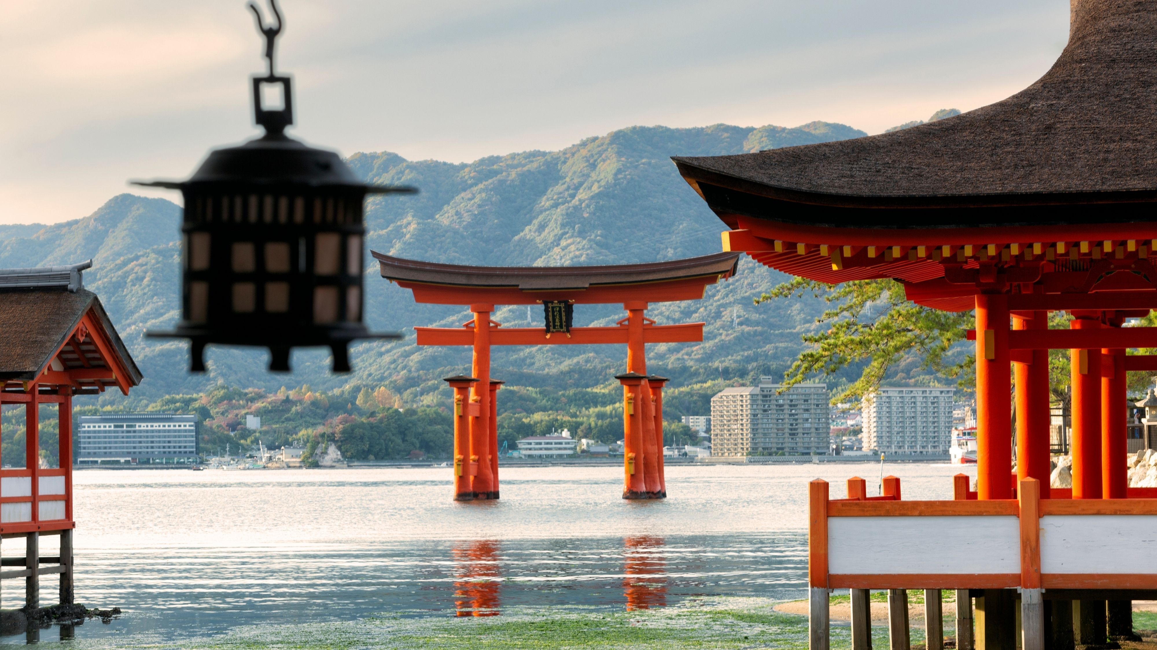 Tamano, Japan Cruise Port & Excursions - 2026-27 | The Cruise Web