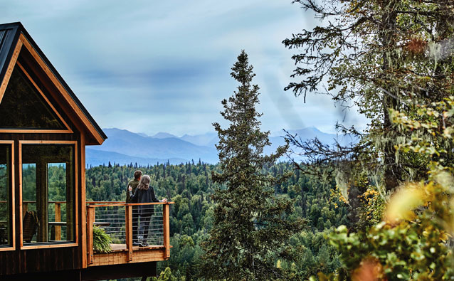Princess Cruisetour guests will have the opportunity to hang out in a treehouse overlooking Mt. Denali.