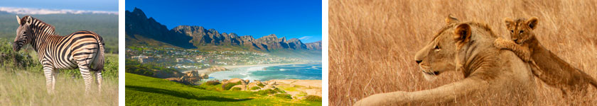 Preview of Africa Monograms Destinations
