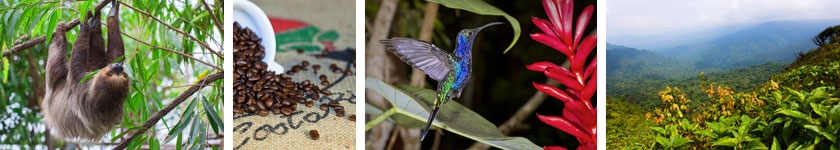 Preview of Monograms Central America Destinations